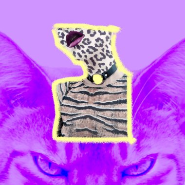 Predator Sexy style. Swag model. Animal tiger print. Collage fas clipart