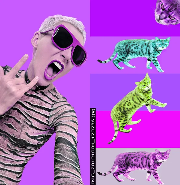 Swag Party girl e gatos. Colagem criativa de zine. Animal imprimir um — Fotografia de Stock