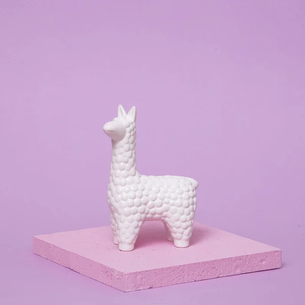 Lama blanc sur fond rose. Art plat minimal laïc — Photo