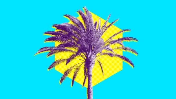 设计背景上的生机勃勃的菠萝。循环画面 — 图库视频影像