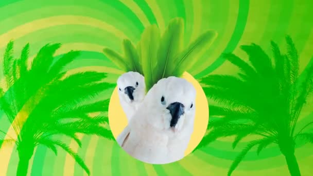 Arte de movimento minimal.Moda Papagaios minha vida tropical. Festa e conceito de estilo clube — Vídeo de Stock