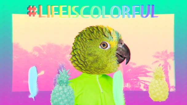 Minimal Motion art. Μόδα πράσινο Parrot κείμενο Η ζωή είναι πολύχρωμο κόμμα Club vibes — Αρχείο Βίντεο