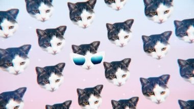 Minimal Motion Tasarım Eğlence Sanatı. Kedicik cazibesi. Moda güneş gözlüğü havası.