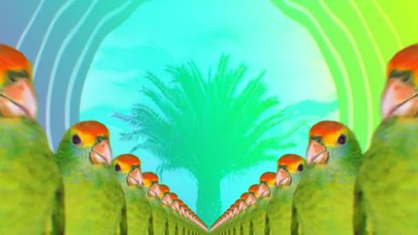 Minimal Motion collage art. Fashion Many Parrots Tropical vibes Beach Party mood — Stock Video