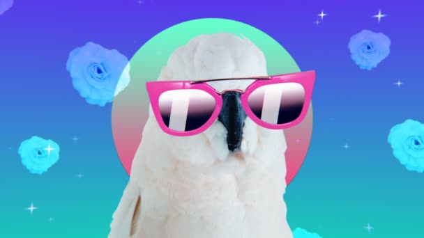 Искусство коллажа. Модный забавный попугай в солнцезащитных очках. Концепция летних аксессуаров — стоковое видео