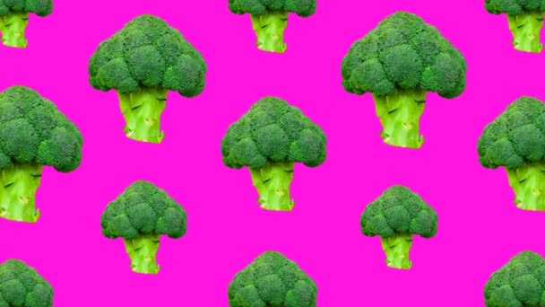 Minimal Motion Flat lay art. Broccoli achtergrond — Stockvideo