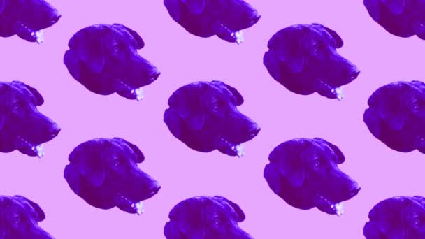 Mínimo movimiento arte moderno. Fondo de cara de perro — Vídeos de Stock