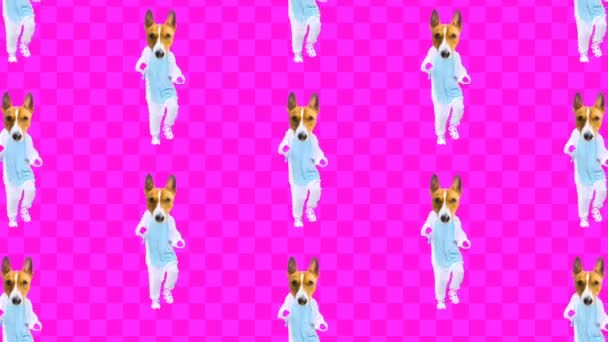 Diseño de movimiento mínimo collage art. Perro bailando en pijama — Vídeo de stock