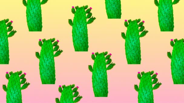 Mínimo arte flatlay movimiento. Cactus en rosa. Fondo de moda — Vídeos de Stock