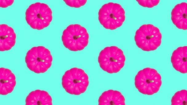 Minimal Motion design. Pink pumpkin art background — Stock Video