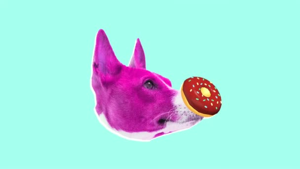 时尚运动流行艺术。有趣的狗头和甜甜圈 — 图库视频影像