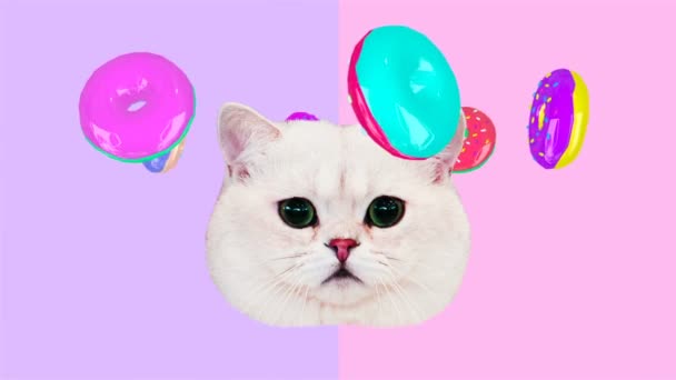 Motion minimal design art. Funny pussy cat and donuts — Stockvideo