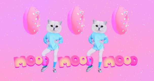 ファッション最小限のモーションアート。可愛い猫。ドーナツ恋人気分 — ストック動画