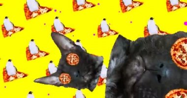 Minimum animasyon tasarımı. Komik Kedi ve Penguen sörfçü. Pizza bağımlısı