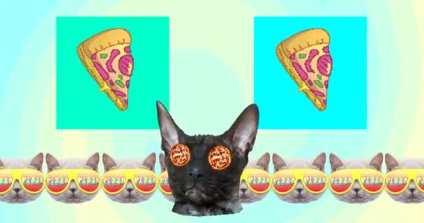 Diseño de animación mínima. Cat y Pizza. Concepto amante de la pizza — Vídeos de Stock