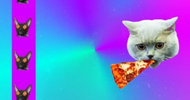 Asgari hareket sanatı. Kolaj Pizza bağımlıları Kediler. Pizzacılar.