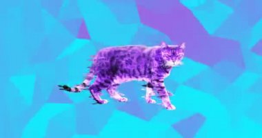 Minimal Moda Sanatı. Geometri uzayında leopar kedi