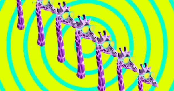 Minimale animazione design art. Giraffa viola umore tropicale — Video Stock