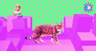 Minimum animasyon sanatı. Kentsel alanda kedi. Renkli titreşimler