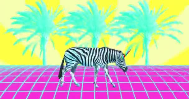 Animation minimaliste. Zèbre licorne dans un endroit tropical coloré — Video