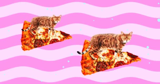 Minimaal animatie ontwerp. Kattensurfen op pizza. Pizza-tijdconcept — Stockvideo