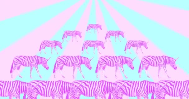 Ελάχιστος σχεδιασμός κινουμένων σχεδίων. Zebra μονόκερως σε πολύχρωμη αφαίρεση — Αρχείο Βίντεο