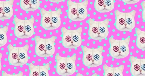 Animatie patroon. Kat en donuts. Donuts minnaar minimale kunst — Stockvideo