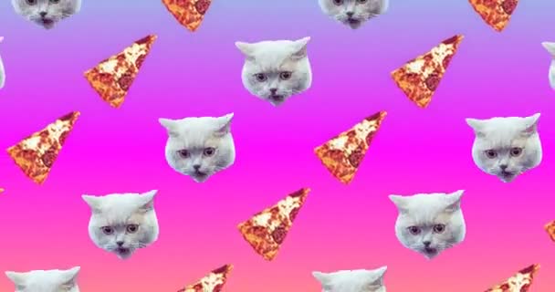 Beweging naadloos patroon ontwerp. Kat en pizza. Pizza stemmingsconcept — Stockvideo