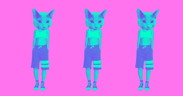 Ελάχιστος σχεδιασμός κινουμένων σχεδίων. Αστική γάτα στυλ δρόμου. Ιδανικό για Gif — Αρχείο Βίντεο