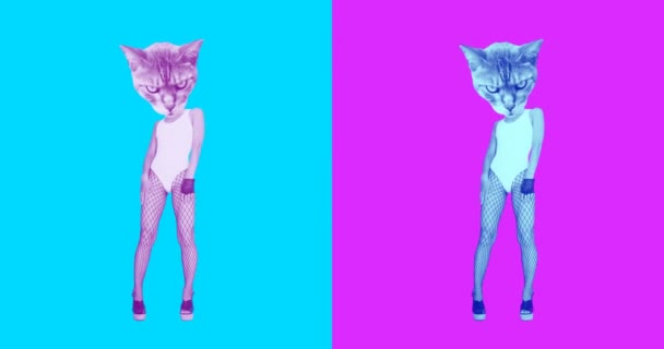 Movimento minimo gif art. Gattino sexy rock. Ideale per schermi di discoteche e gif. — Video Stock