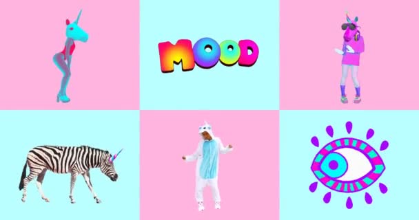 Minimale animatie gif set. Eenhoorn stemming. Eenhoorn grappige gif tekens. — Stockvideo