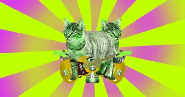 Animación arte mínimo. Divertido gato de animación con una guitarra . — Vídeos de Stock