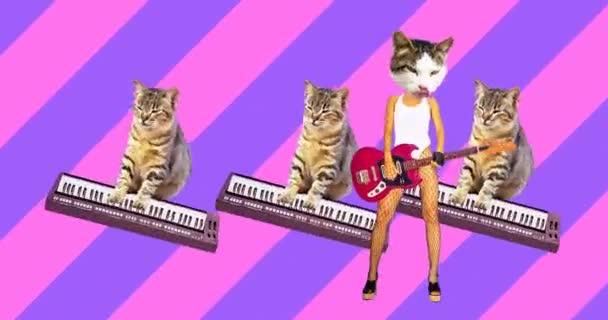 Beweging minimaal ontwerp. Grappige muzikale band katten. Feeststijl — Stockvideo