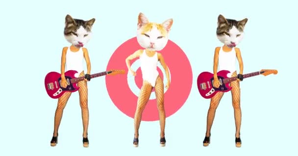 Modern animatie ontwerp. Sexy kat grappig rock band — Stockvideo