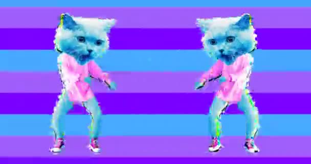 Minimale bewegingskunst. Grappig dansen kat in kleuren achtergrond — Stockvideo