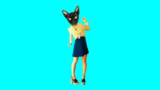 Gif animation art. Kitty Retro country style. Dancing — Stock Video