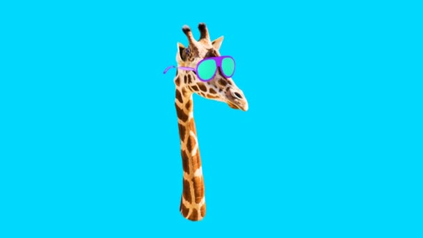 Minimal motion design. Giraffe. Beach party mood — Stock Video