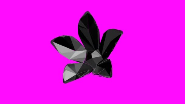 Arte de animación Gif. 3d flor negra sobre fondo rosa. Movimiento rítmico — Vídeos de Stock