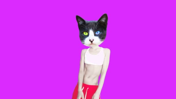 Arte de animação Gif. Moda Kitty dança roupa urbana — Vídeo de Stock