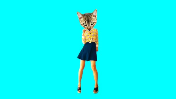 Gif animatie kunst. Fashion Kitty dansen country stijl — Stockvideo