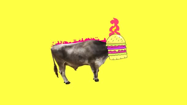 动画最小的礼物艺术。快餐概念。汉堡公牛 — 图库视频影像