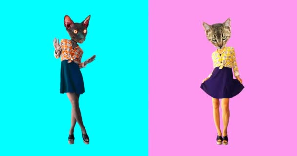 Animación mínima gif art. Conjunto de gatos divertidos — Vídeo de stock