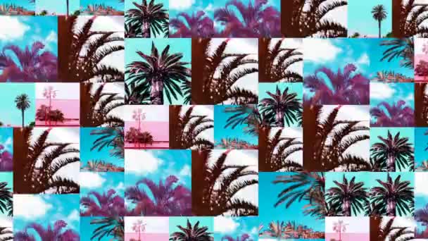 Motion-Diashow-Design. Tropische Palmenlage. Perfekter Hintergrund für Reisebüros — Stockvideo