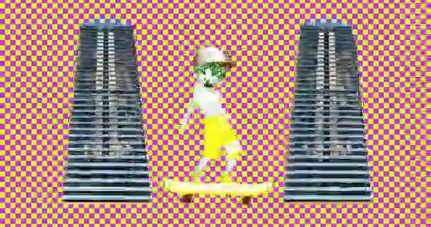 Animation gif design. Minimal konst. Mode skateboardåkare katt — Stockvideo