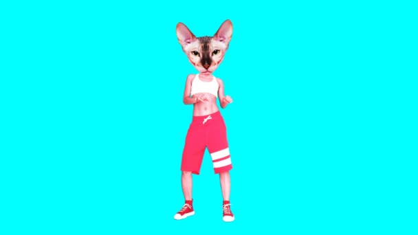 アニメーション最小GIFアート。猫のスポーツパワービブ — ストック動画