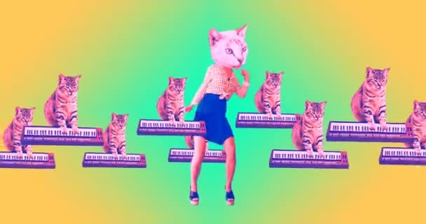 Gif animatie minimale kunst. Kitties hebben plezier en dansen — Stockvideo