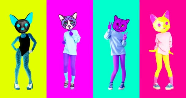 Arte de animación mínima. Gatos bailando gif. Concepto de potencia Cat — Vídeo de stock