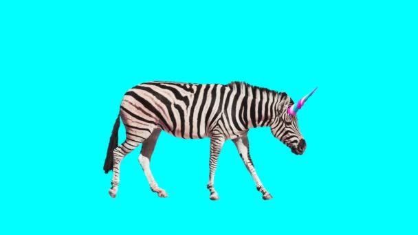 Minimal motion gif design. Zebra Unicorn — Stock Video