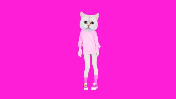 Gif animációs művészet. Kitty rózsaszín vanília hangulat