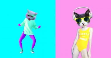 Animasyon minimum gif sanatı. Bir grup komik kedi.